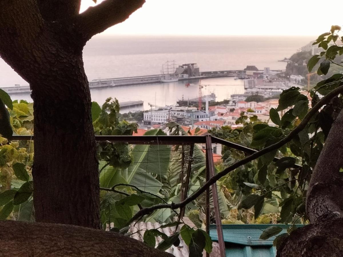 Quintinha Dos Reis Villa Funchal  Exterior photo