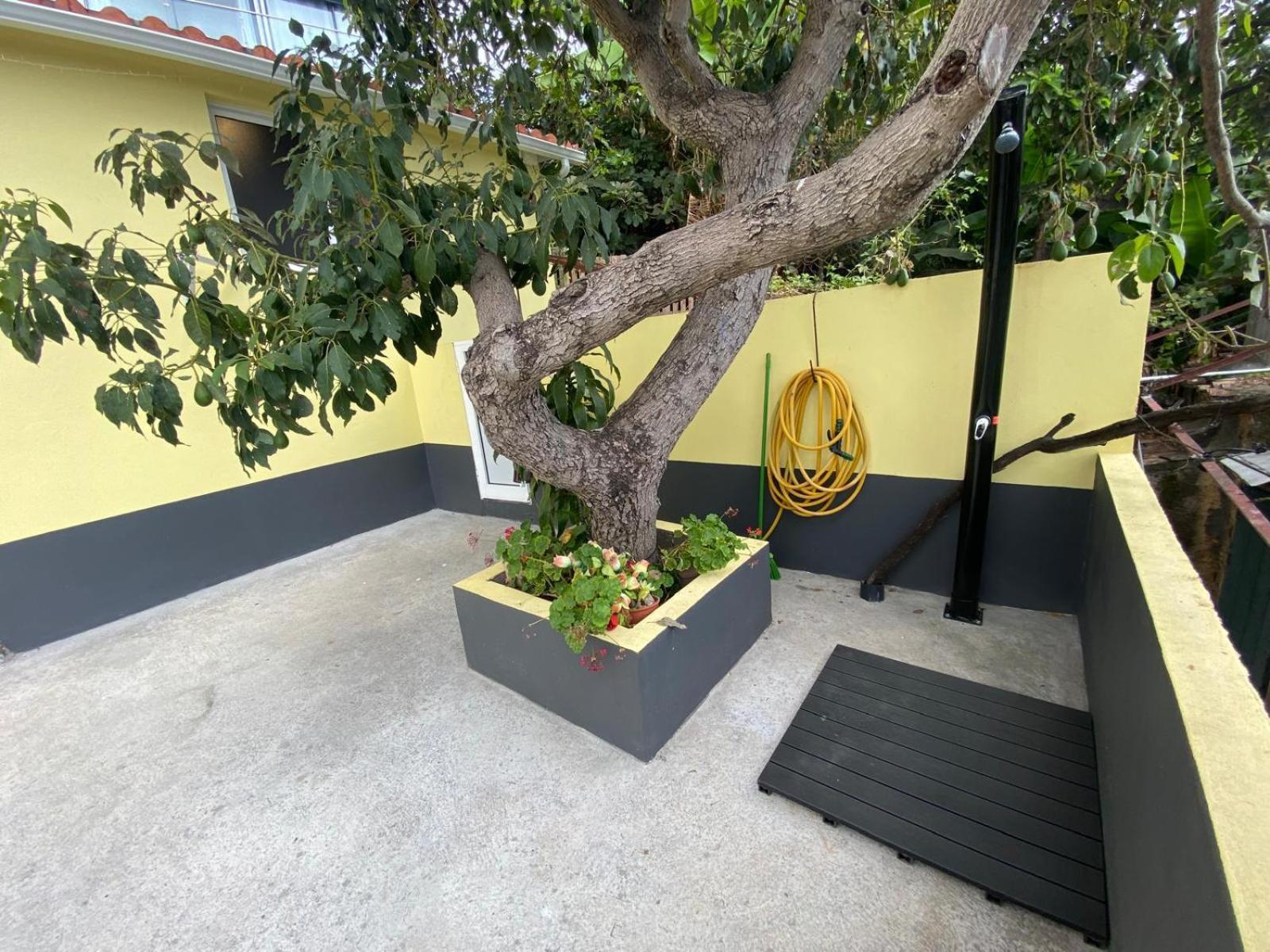 Quintinha Dos Reis Villa Funchal  Exterior photo